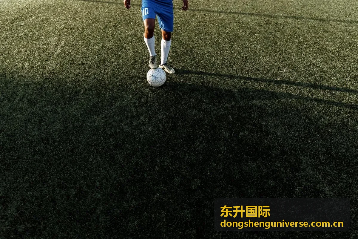 东升国际常见问题解答